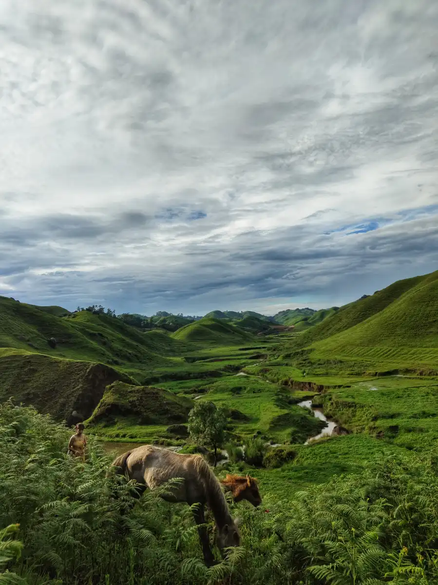 Horse Riding in a Valley